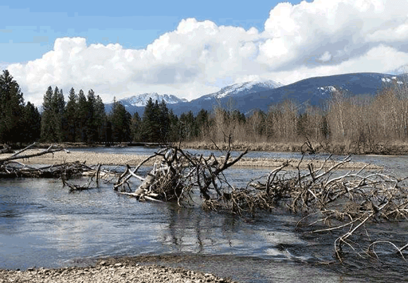 Fishing with CD Rods on the Bitterroot River Montana