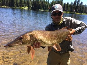 Huge pike-fly fishing-Owens