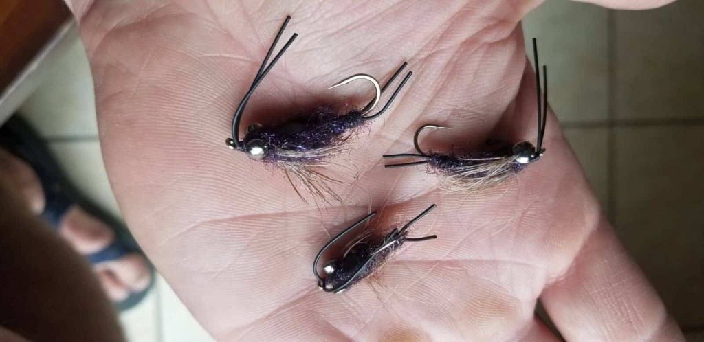 keystones-stonefly nymphs-montana rivers