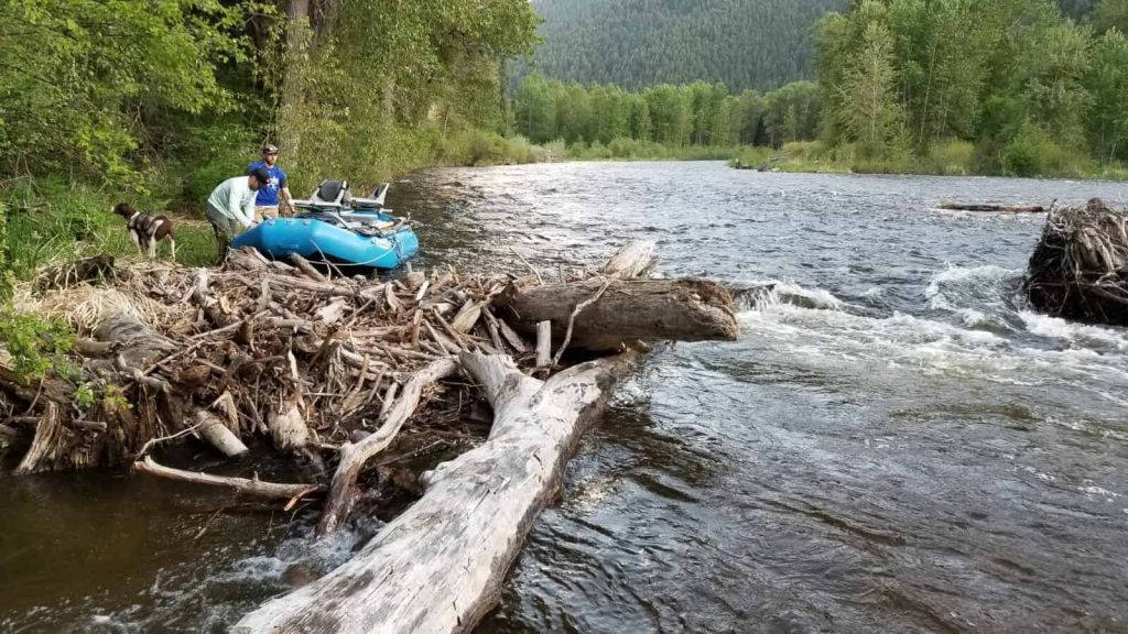 Rock Creek-Salmonfly Hatch-River Hazards