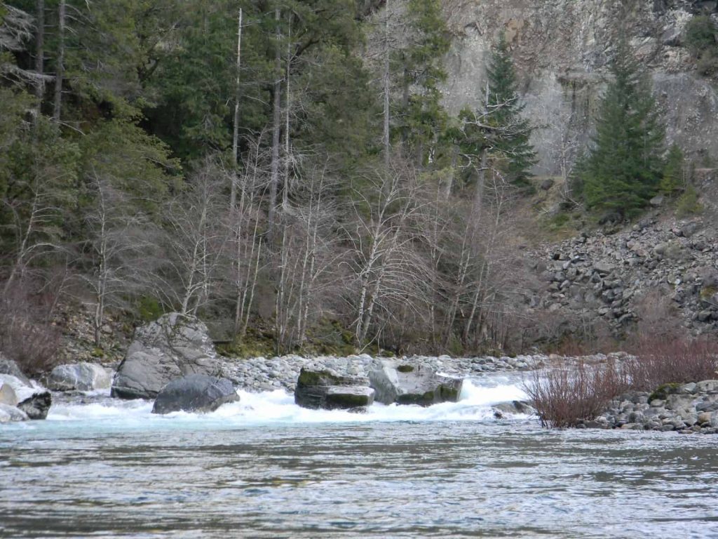 Rods from New Zealand