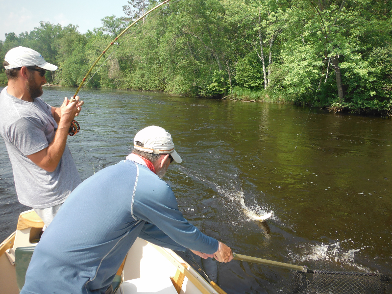 A fly angler battling a musky while on a summer smallmouth adventure
